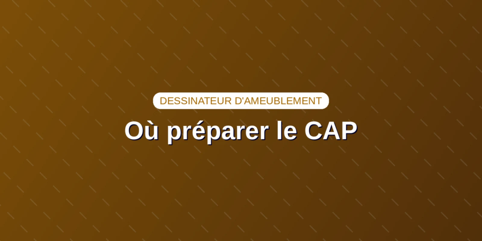 Couverture : Lycées professionnels et écoles préparant au CAP Dessinateur d'ameublement